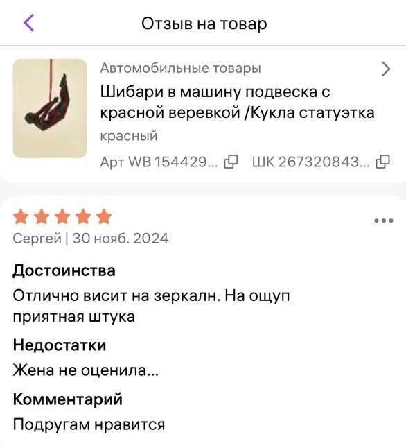 Отзыв Шибари в машину